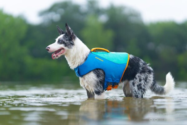 ⁦רתמה צפה Float Coat™⁩ – תמונה ⁦9⁩