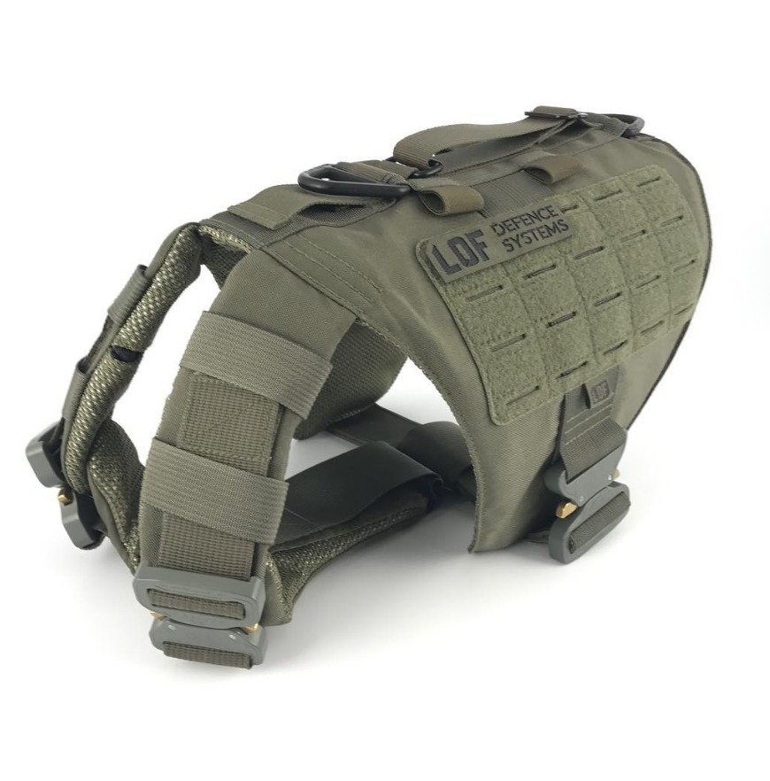 K9 StreetFighter K9 StreetFighter