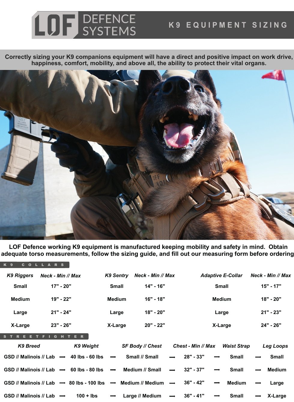 K9 StreetFighter K9 StreetFighter