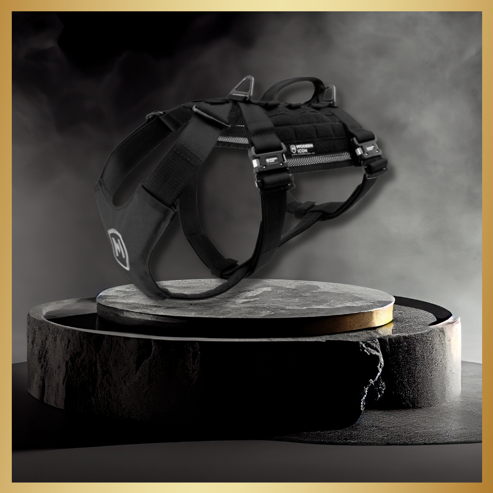 רתמת טרקינג רתמת טרקינג