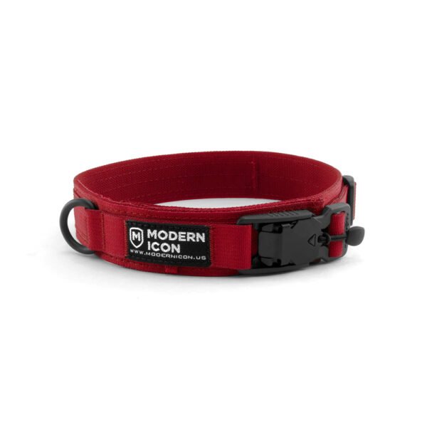 ⁦Summit Collar "1.5⁩ – תמונה ⁦5⁩