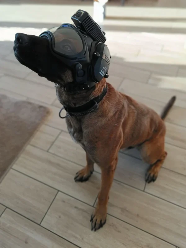 ⁦DarkFighter K9 Camera Kit⁩ – תמונה ⁦5⁩