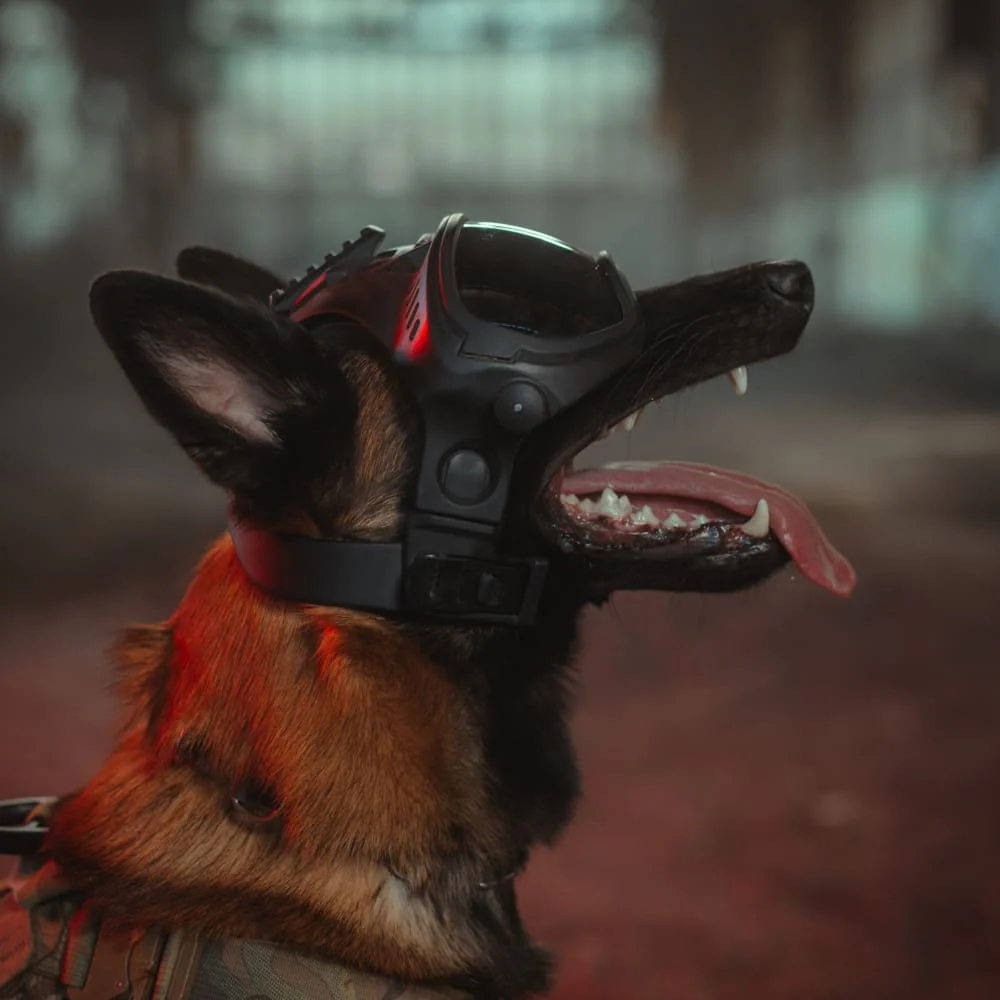 DarkFighter Picatinny Mount DarkFighter Picatinny Mount