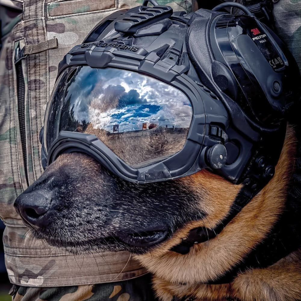 DarkFighter Picatinny Mount DarkFighter Picatinny Mount