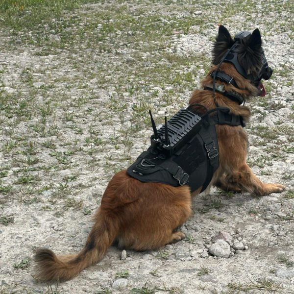 ⁦DarkMesh MANET K9 Camera⁩ – תמונה ⁦4⁩