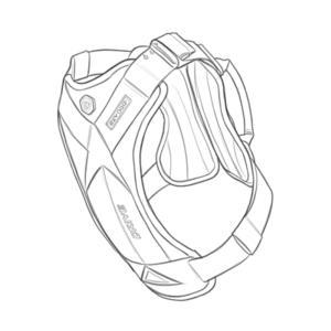 בטיחות ברכב