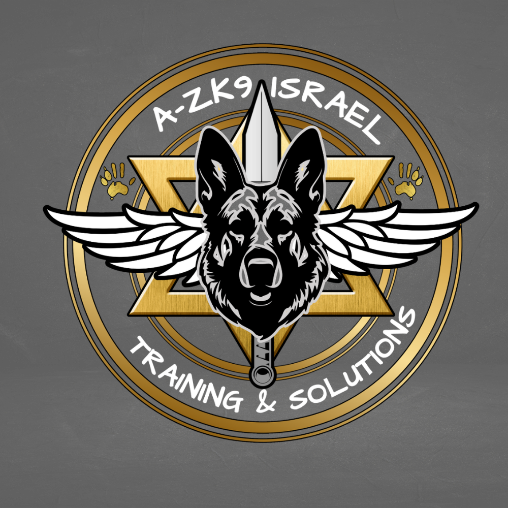 AZK9 ISR